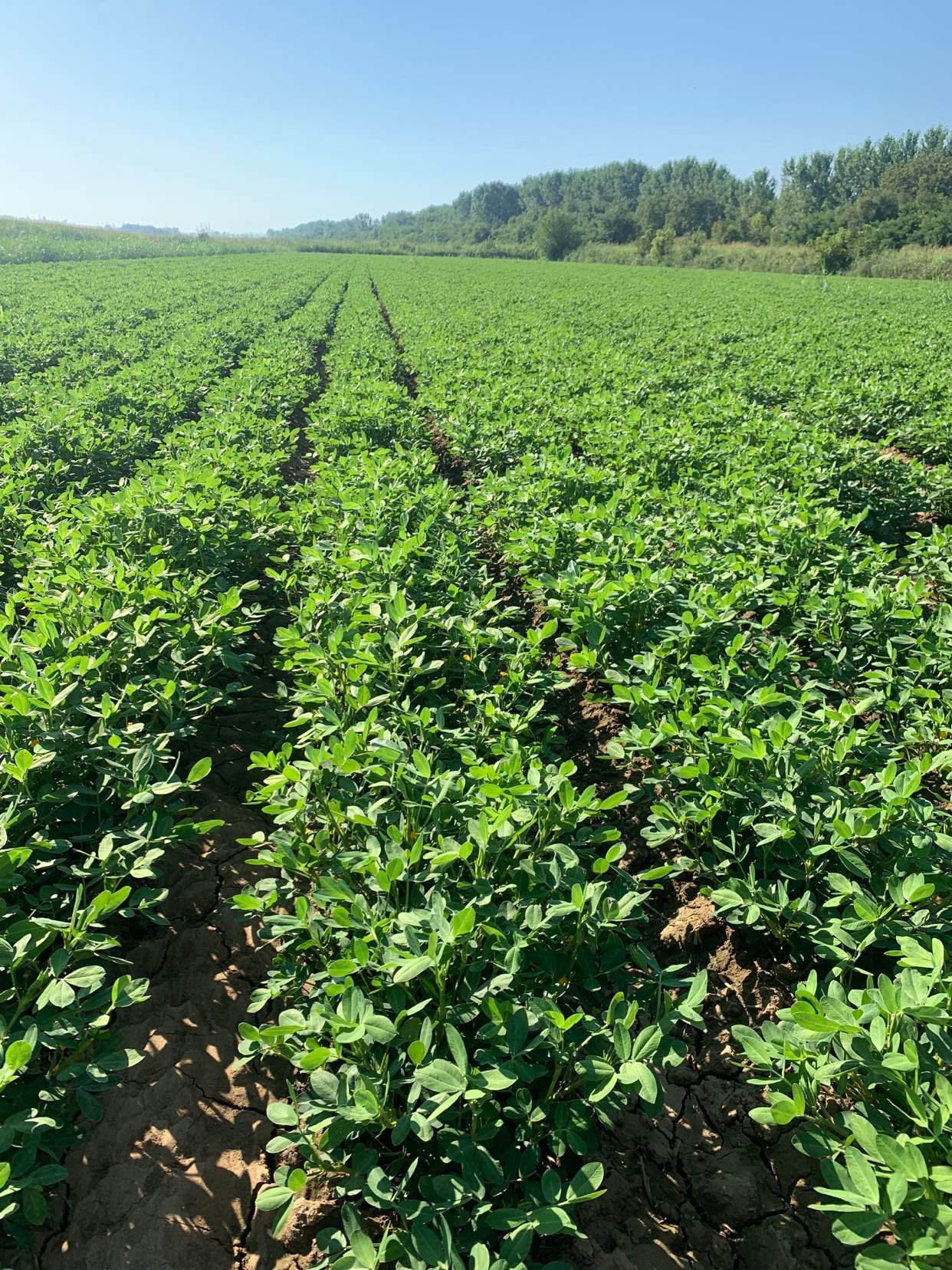 Η Οικοτεχνία μας