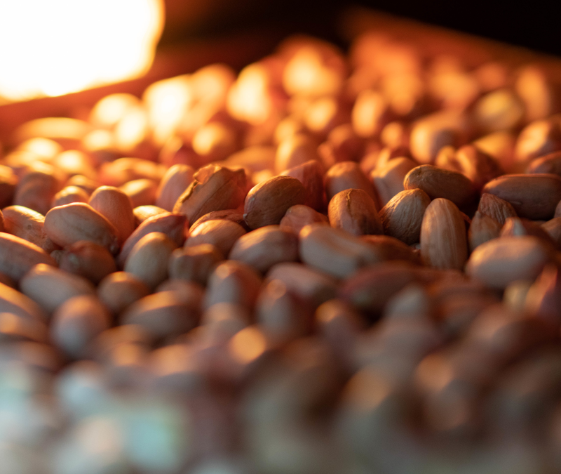 Ξηροί Καρποί