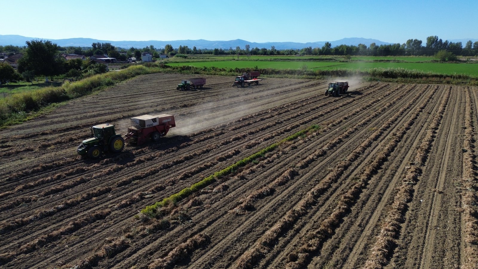 Χωράφια Βαμβακούσσα